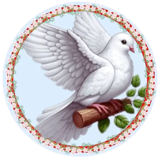PAJAROS 🦜🦉 4