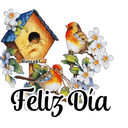 VARIOS DÍAS 15