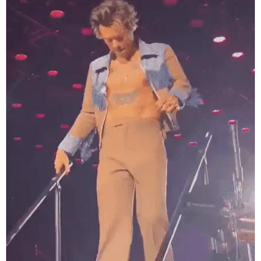 Harry Styles 2 🧸🇲🇽 18