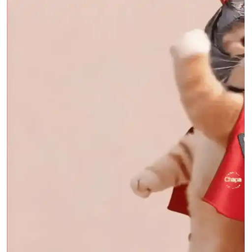 Mix 28 🧸🇲🇽 22