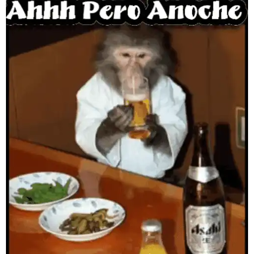 Mámate Becerro 🧸🇲🇽 2