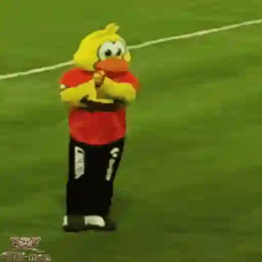 Mascotas Pollo y Pia Algodoneros Unión Laguna⚾֍2🇲🇽Movi 4