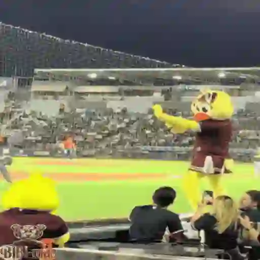 Mascotas Pollo y Pia Algodoneros Unión Laguna⚾֍1🇲🇽Movi 1