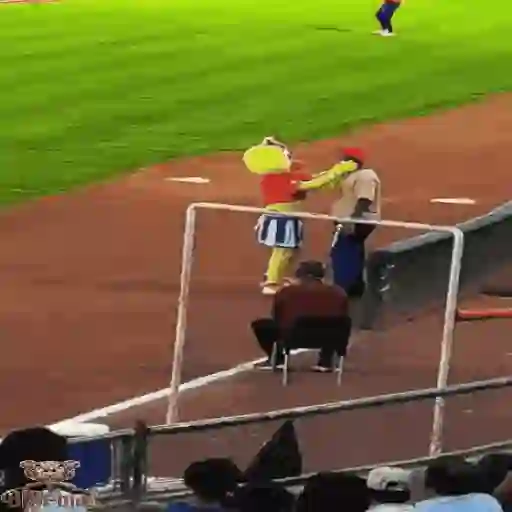 Mascotas Pollo y Pia Algodoneros Unión Laguna⚾֍2🇲🇽Movi 8