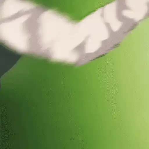 Animé various 14
