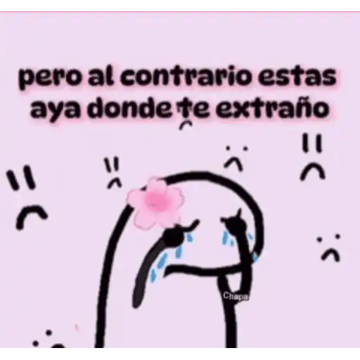 Amor Luci 6