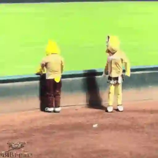 Mascotas Pollo y Pia Algodoneros Unión Laguna⚾֍1🇲🇽Movi 22