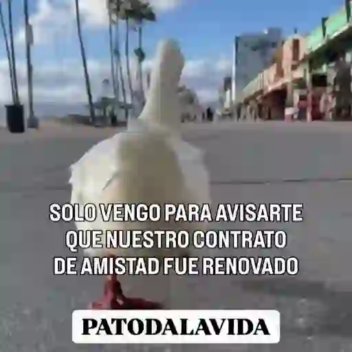 👉Variado 2133👈 mov 27