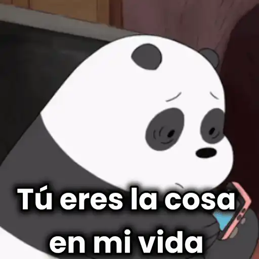 Escandalosos🐻🐼🐻‍❄️ 12
