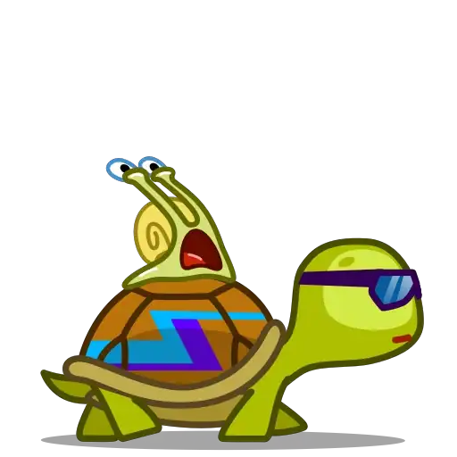 tortu mov 21