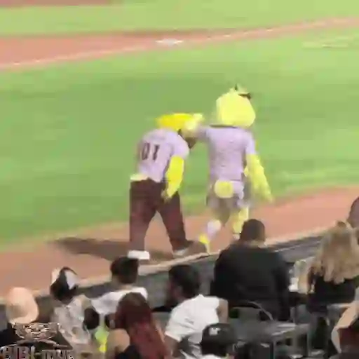 Mascotas Pollo y Pia Algodoneros Unión Laguna⚾֍2🇲🇽Movi 2