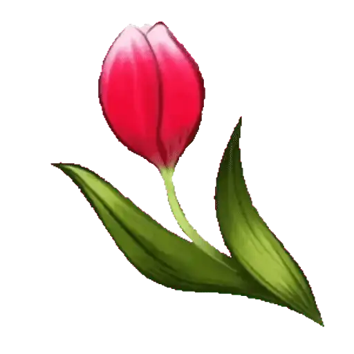 FLORES 🌹🌻💐 10