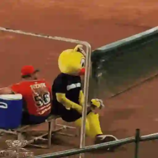 Mascotas Pollo y Pia Algodoneros Unión Laguna⚾֍2🇲🇽Movi 24