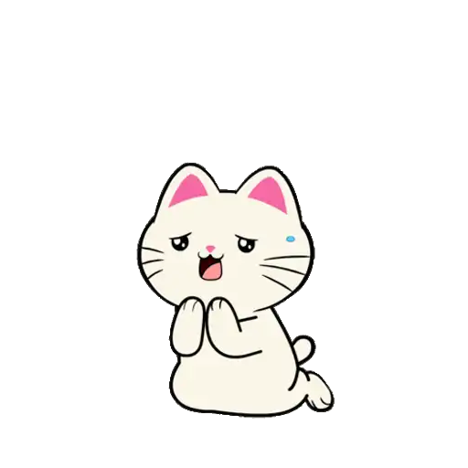 Silly Kitties✨🐱.mov 13