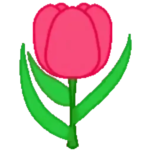 FLORES 🌹🌻💐 2