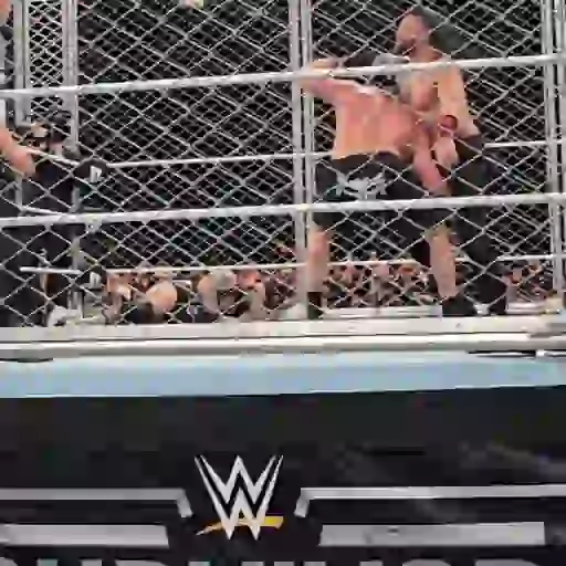 🔥 Brock Lesnar 💪🏼 1