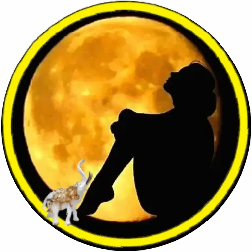 Luna🌙💞2🇵🇪Movi 6