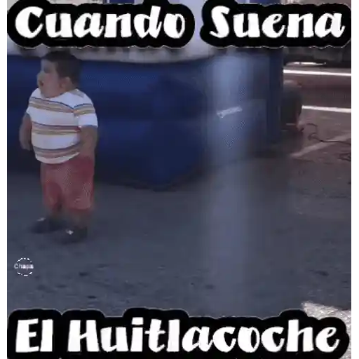 Various 🧸🇲🇽 6