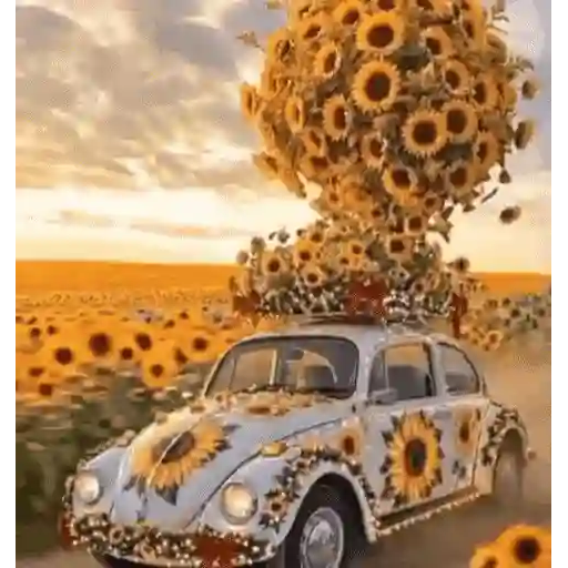 Girasoles 🧸🇲🇽 8