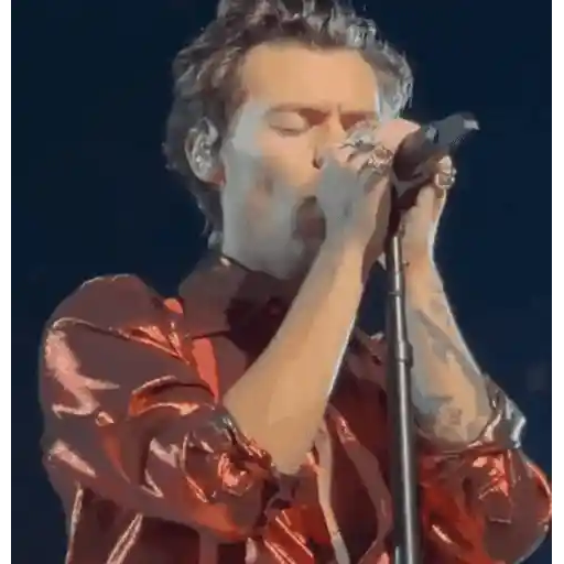 Harry Styles 2 🧸🇲🇽 30