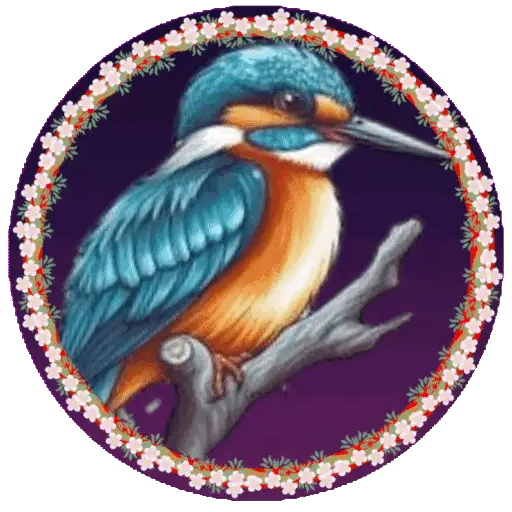 PAJAROS 🦜🦉 28