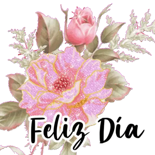 VARIOS DÍAS 3