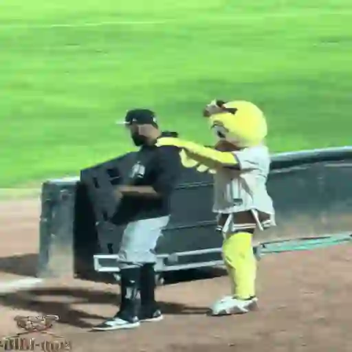 Mascotas Pollo y Pia Algodoneros Unión Laguna⚾֍2🇲🇽Movi 16