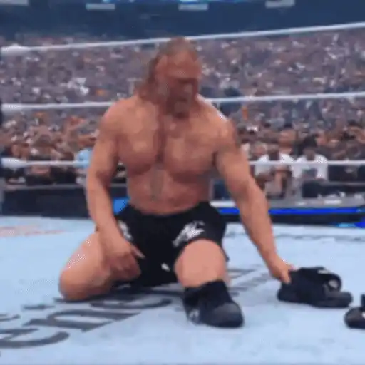 🔥 Brock Lesnar 💪🏼 13