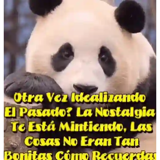 Various 🧸🇲🇽 30