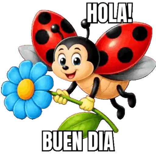 INSECTOS 🦋🐝🌺 7