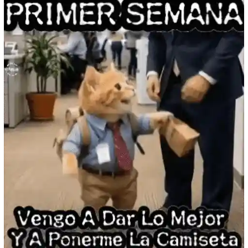 Mix 22 🧸🇲🇽 11