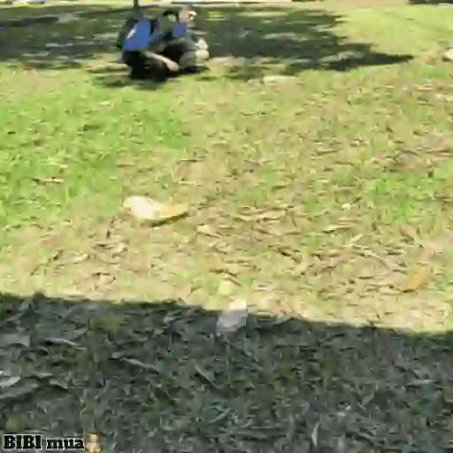 Mix Gif Bib🧸֍7🇲🇽Movi 24