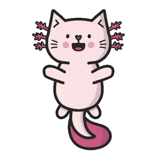 Gato empolgado