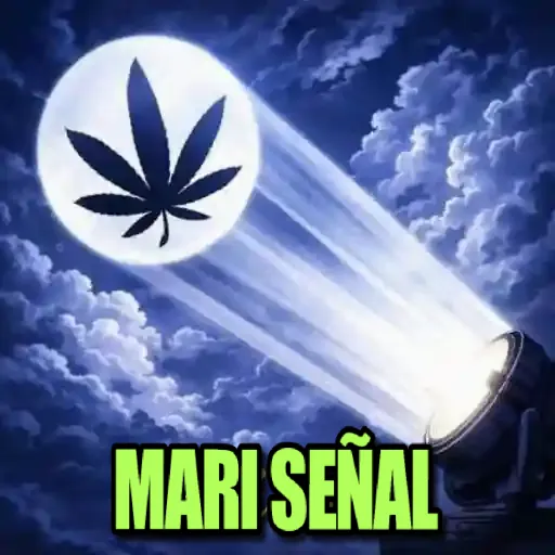 👉Variado 2154👈 mov 14