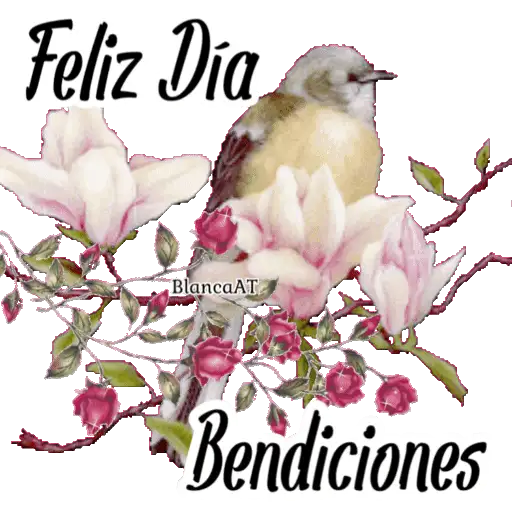 VARIOS DÍAS 14