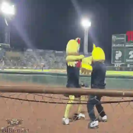 Mascotas Pollo y Pia Algodoneros Unión Laguna⚾֍1🇲🇽Movi 27