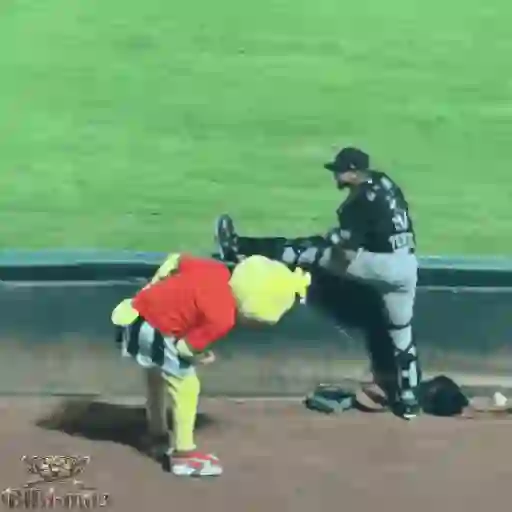 Mascotas Pollo y Pia Algodoneros Unión Laguna⚾֍1🇲🇽Movi 25