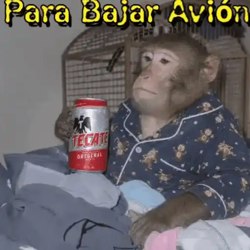 Mámate Becerro 🧸🇲🇽 15