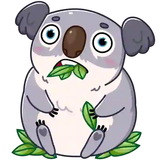 full koala mov 18