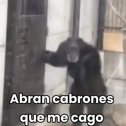✮⋆˙Viral tendencia 😎  7   ♱ 7