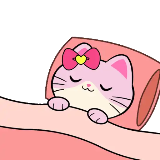 Silly Kitties✨🐱.mov 16