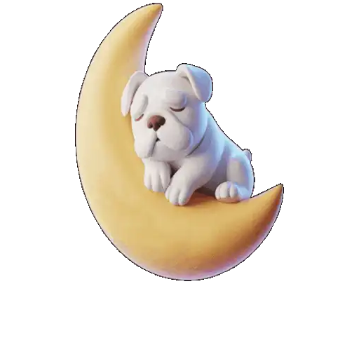 Animal 🌚🌙Moon .mov 20