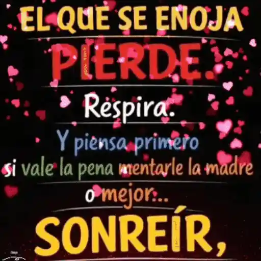 Not 🧸🇲🇽 24