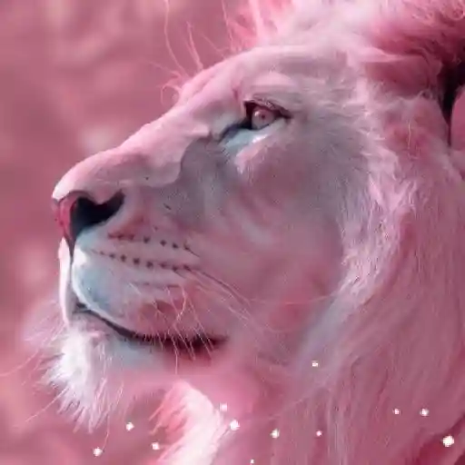 Animales en color Rosa♦️💞1🇵🇪Movi 15