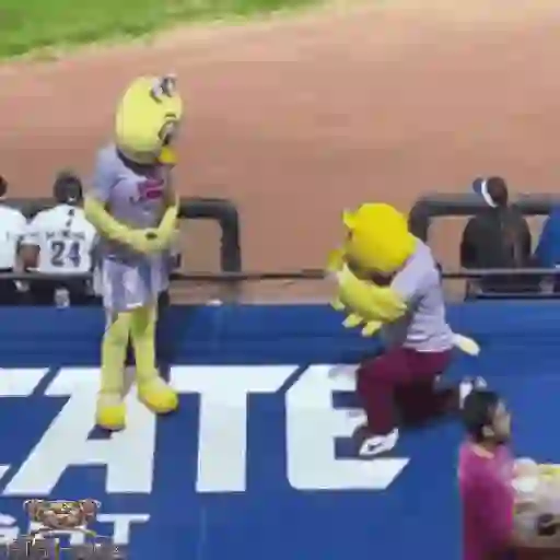 Mascotas Pollo y Pia Algodoneros Unión Laguna⚾֍2🇲🇽Movi 28