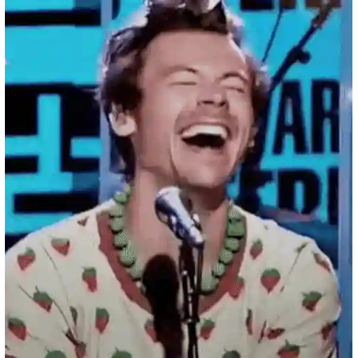 Harry Styles 2 🧸🇲🇽 8