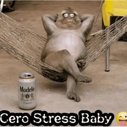 Mámate Becerro 🧸🇲🇽 1