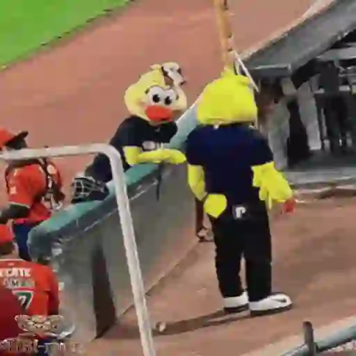 Mascotas Pollo y Pia Algodoneros Unión Laguna⚾֍1🇲🇽Movi 20
