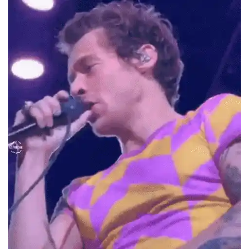 Harry Styles 2 🧸🇲🇽 27