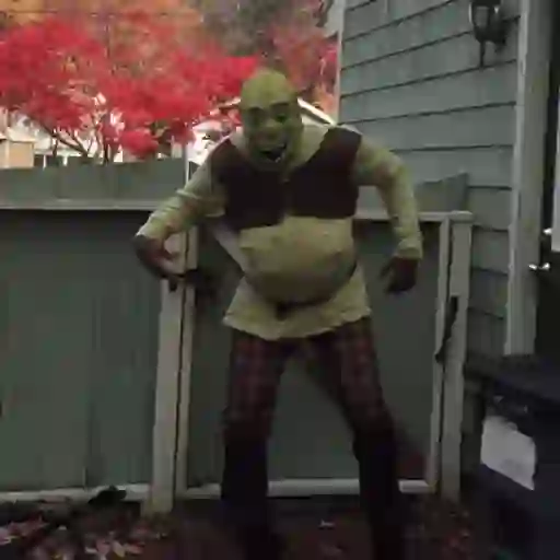 Shrek Random🟢1🇲🇽Movi 26